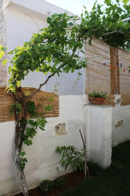 Mantra1 Vila Sozópolis Exterior foto